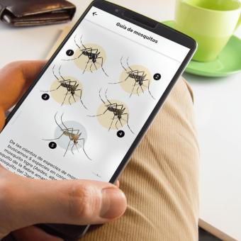 La app  Mosquito Alert incluye más de 69.500 informes de mosquitos y 30.000 de picaduras.