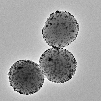 Imatge de microscòpia electrònica de transmissió dels nanorrobots. © Institut de Bioenginyeria de Catalunya (IBEC).