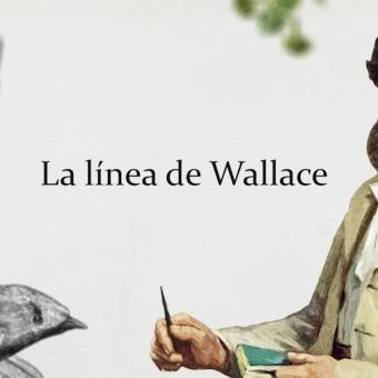 Nou episodi de Time Line: La línia de Wallace.
