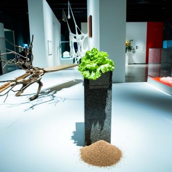 Exposición «Arte y naturaleza. Un siglo de biomorfismo» en CaixaForum Madrid.