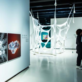 En esta ocasión, la Fundación ”la Caixa” vuelve a aliarse con el Centre Pompidou.