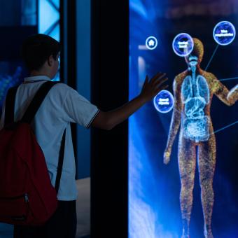 Un nen interactua amb el mòdul del cos com a ecosistema a la Sala Univers de CosmoCaixa. 