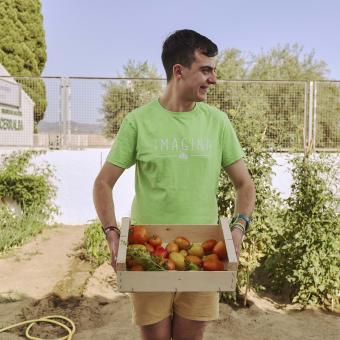 En el proyecto Mi Cachito de Huerto, los usuarios cultivan un huerto y cocinan comida saludable, como ensaladas o gazpacho, y llevan una vida más activa y sana trabajando en grupo durante los talleres.