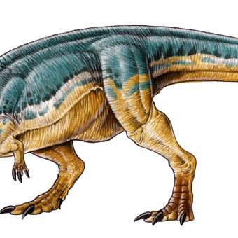 Tyrannotitan chubutensis.