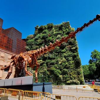 Réplica del esqueleto del patagotitan mayorum en CaixaForum Madrid.