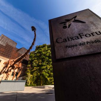 The Patagotitan majorum is on display in front of the vertical garden of CaixaForum Madrid.