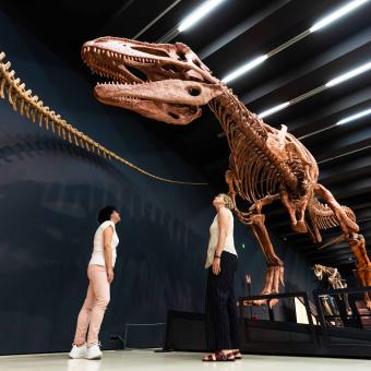 Two visitors observe the tyrannotitan at CaixaForum Madrid.