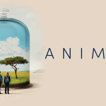 Gracias a la colaboración con SUNCINE Festival Internacional de Cine del Medio Ambiente, llega a CaixaForum+ el documental "Animal" (Cyril Dion, 2021).