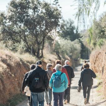 Participantes durante la caminata en un taller de senderismo.