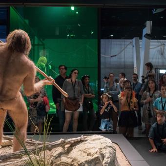 A la sala Univers hi trobem un àmbit sobre Evolució.