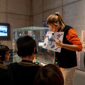 Educators are key when visiting the science museum.