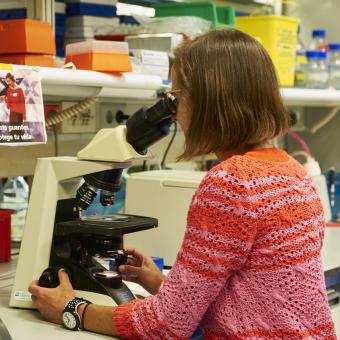 Eva González, investigadora del Centro Nacional de Investigaciones Oncológicas (CNIO).