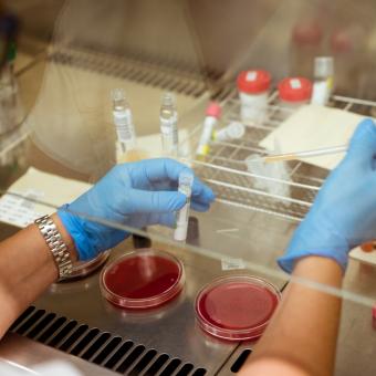 A researcher in a laboratory.