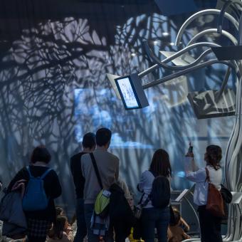 Visitors at the exhibition «The Worlds of Alice. Dreaming of Wonderland».