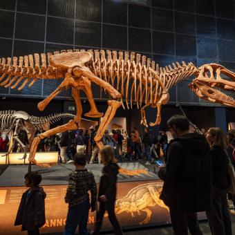 Visitantes disfrutando de la exposición  «Dinosaurios de la Patagonia»