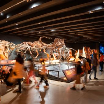 Audience at the exhibition “Dinosaurs of Patagonia” at CaixaForum Madrid.