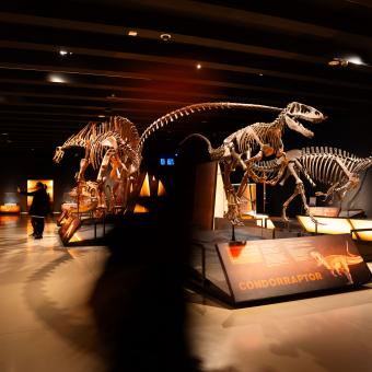 Visitors at the exhibition “Dinosaurs of Patagonia” at CaixaForum Madrid.