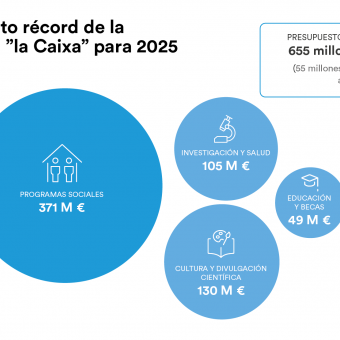 Distribución del presupuesto 2025 de la Fundación ”la Caixa”.