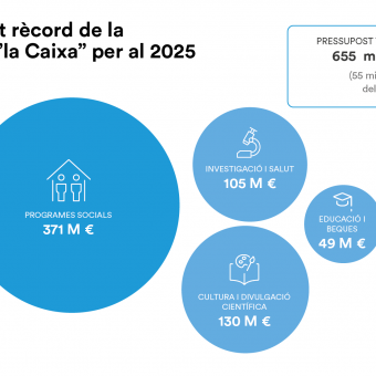 Distribució del pressupost 2025 de la Fundació ”la Caixa”.