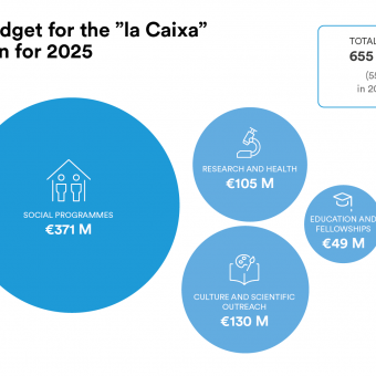 Distribution of the 2025 budget of the ”la Caixa” Foundation.