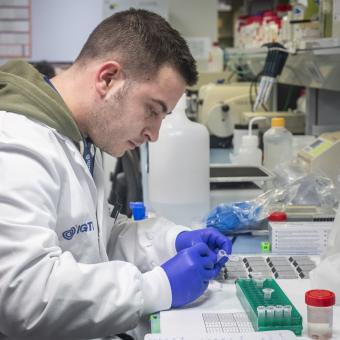 El tècnic Aleix Folch, part de l'equip del Dr. Antoni Matilla, treballant al laboratori.