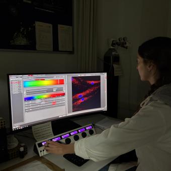 La investigadora Nuria Goya Iglesias, del projecte CaixaResearch «Astromad», obtenint imatges de cèl·lules mitjançant microscòpia confocal de fluorescència.