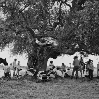 Fotograma del documental "La Marisma".