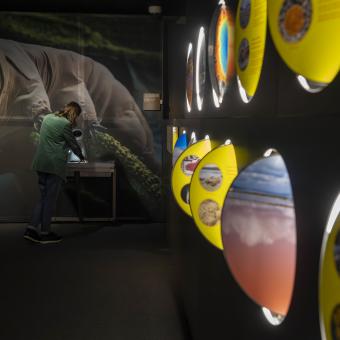 Una visitante observa la muestra de artemia salina mientras otros conocen paisajes extremos de la Tierra.