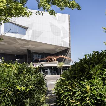 Los transeúntes podrán ver el patagotitan mayorum al pasar frente a CaixaForum Zaragoza.