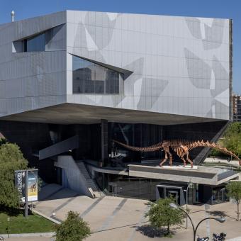 Vista general del patagotitan mayorum en la terraza de CaixaForum Zaragoza.