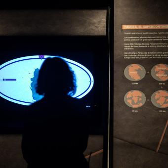 Una visitante observa uno de los módulos de la exposición Dinosaurios de la Patagonia.
