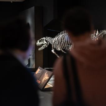 Visitantes observan uno de los dinosaurios de la exposición, el Eoabelisaurus.