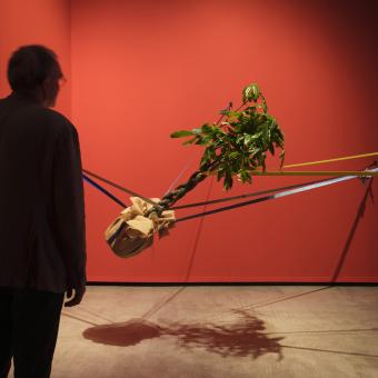 Un visitante frente a una de las obras de la exposición «Arte y naturaleza. Un siglo de biomorfismo».