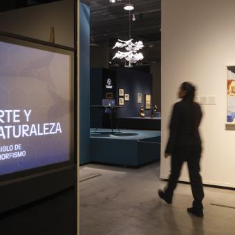 Un visitante recorriendo la exposición «Arte y naturaleza. Un siglo de biomorfismo».