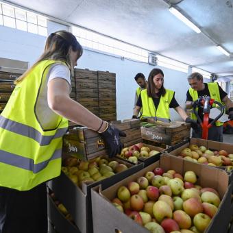 Recogida de alimentos en el almacén para distribuir a los bancos de alimentos