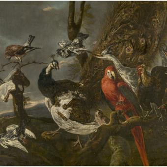 Jan Fyt, «Concierto de aves», 1661. Óleo sobre lienzo. 