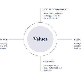 infographic: Values