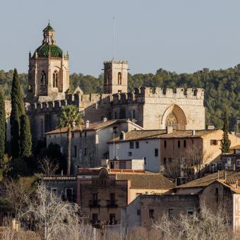 Vista general del Real Monasterio de Santes Creus.