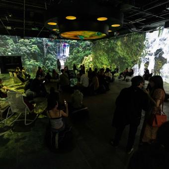 Visitantes en la experiencia inmersiva «Somos naturaleza».