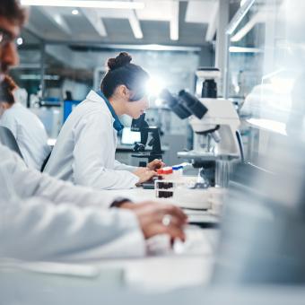 Investigadors observant mostres microscòpiques al laboratori.