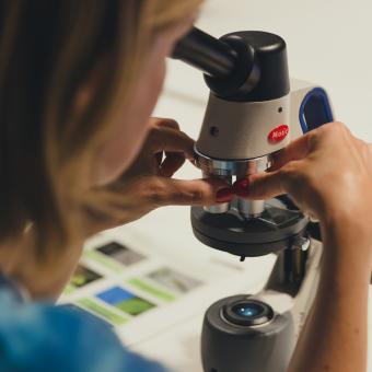 Participante en un taller sobre la vida microscópica.