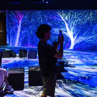 Som Natura es podrà veure fins el 6 d'abril a CaixaForum Barcelona. 