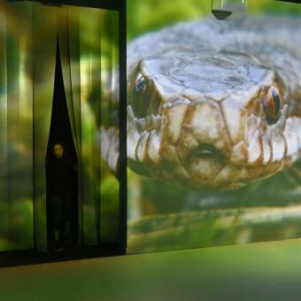Una visitant accedeix a la primera sala de l'experiència immersiva Som Natura.