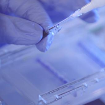 Using a pipette in the laboratory.