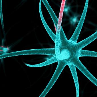 Células neuronales en el fondo negro. Ilustración 3D