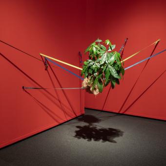 Una de les obres de l'exposició «Art i natura. Un segle de biomorfisme» exposada a CaixaForum Palma.