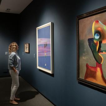 Una visitant admira algunes de les obres de l'exposició «Art i natura. Un segle de biomorfisme» a CaixaForum Palma.