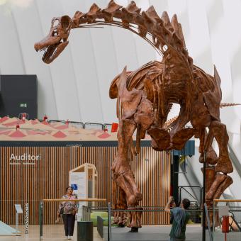 Un visitante fotografía el dinosaurio más grande del mundo en CaixaForum València.