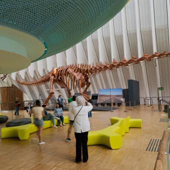 Visitantes fotografían al Patagotitan en la plaza Ágora de CaixaForum València.
