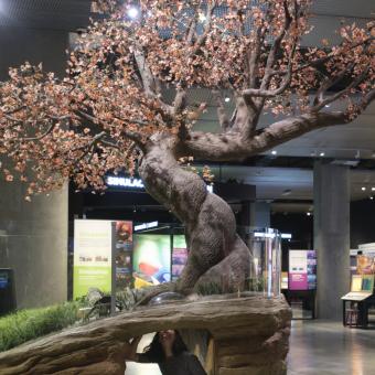 Los visitantes pueden acceder al interior del árbol de la película Bichos para estudiar el punto de vista. 